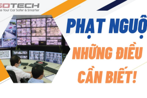 Hướng dẫn tra cứu phạt nguội ô tô nhanh chóng – chuẩn xác